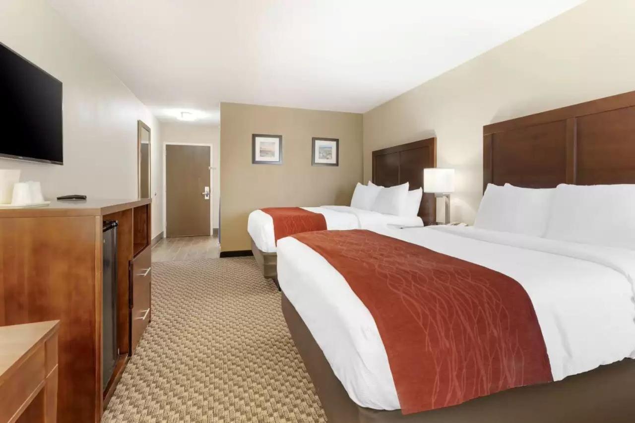 Comfort Hotel